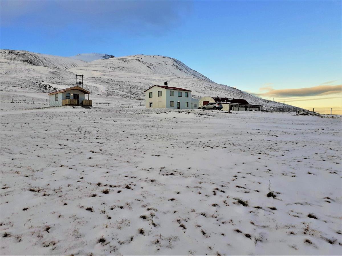 Skarth Guesthouse Saudarkrokur Kültér fotó